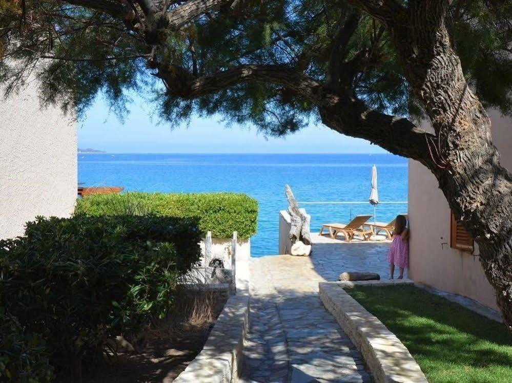 Dolce Notte Saint-Florent (Corsica)